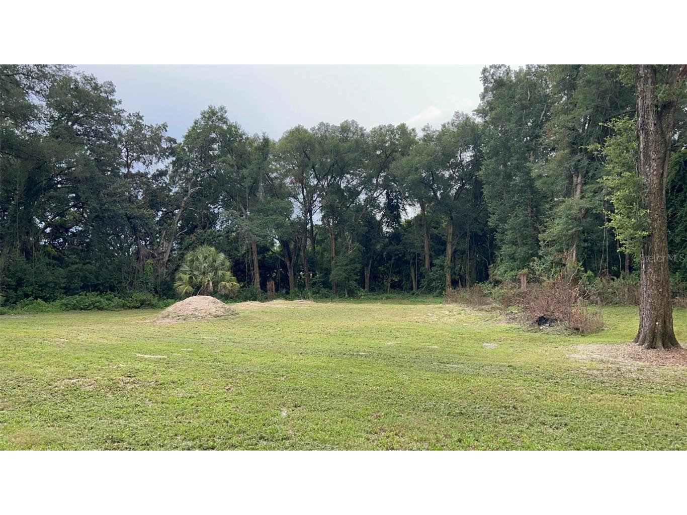 TBD Cr 229 Oxford FL 34484 O6135142 image1