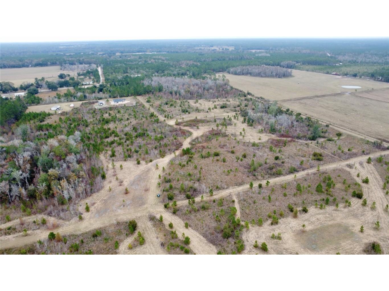 TBD Cr 235 Brooker FL 32622 GC535910 image10