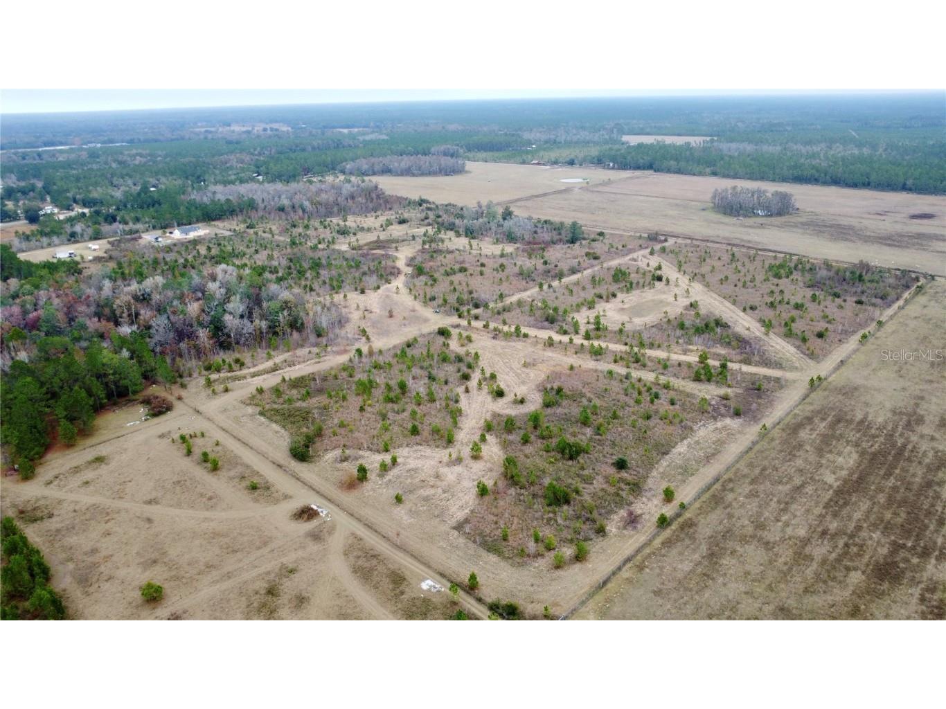 TBD Cr 235 Brooker FL 32622 GC535910 image11