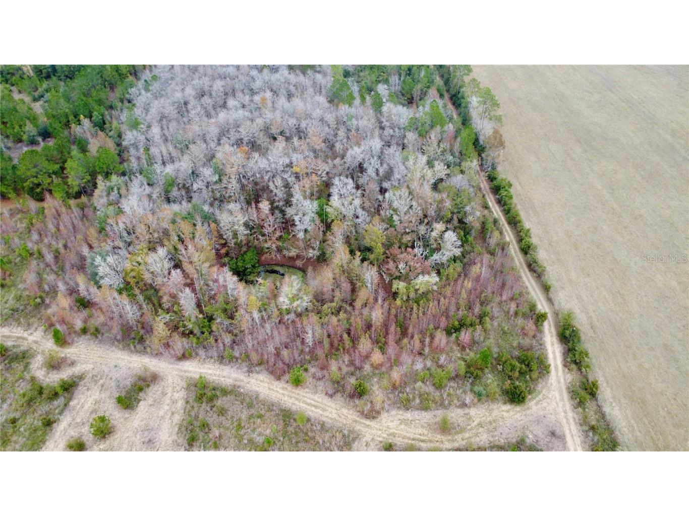 TBD Cr 235 Brooker FL 32622 GC535910 image12