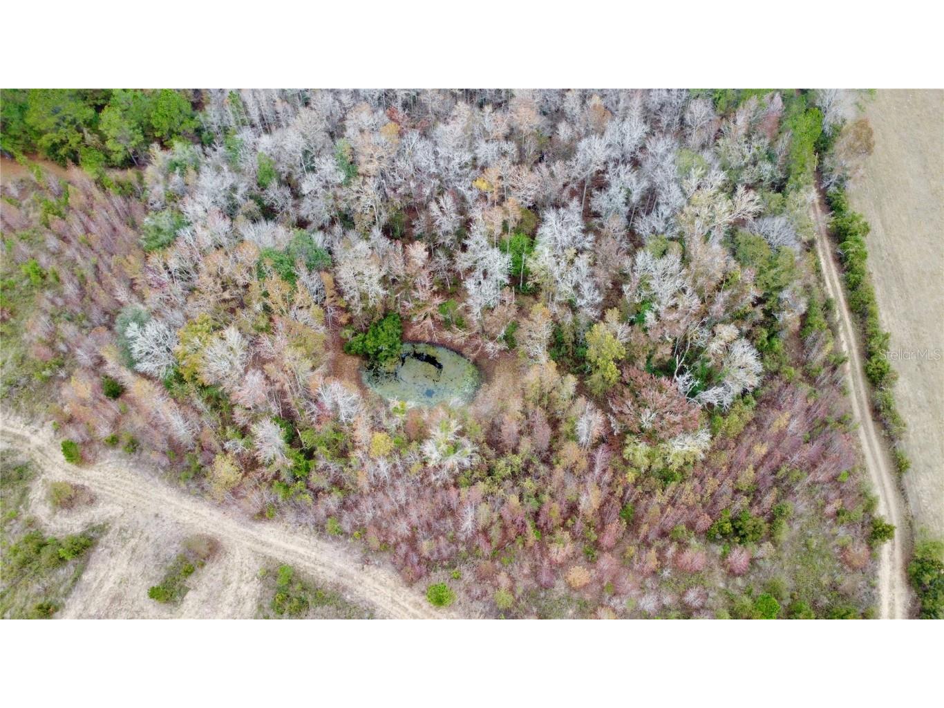 TBD Cr 235 Brooker FL 32622 GC535910 image13