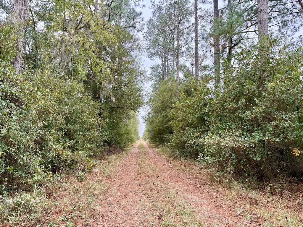 TBD Cr 235 Brooker FL 32622 GC535910 image14