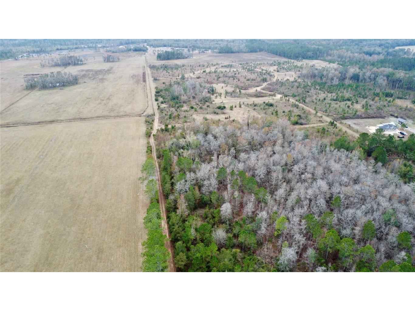 TBD Cr 235 Brooker FL 32622 GC535910 image3