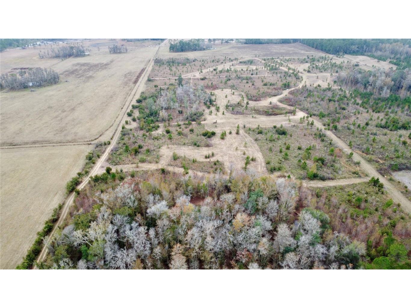 TBD Cr 235 Brooker FL 32622 GC535910 image4