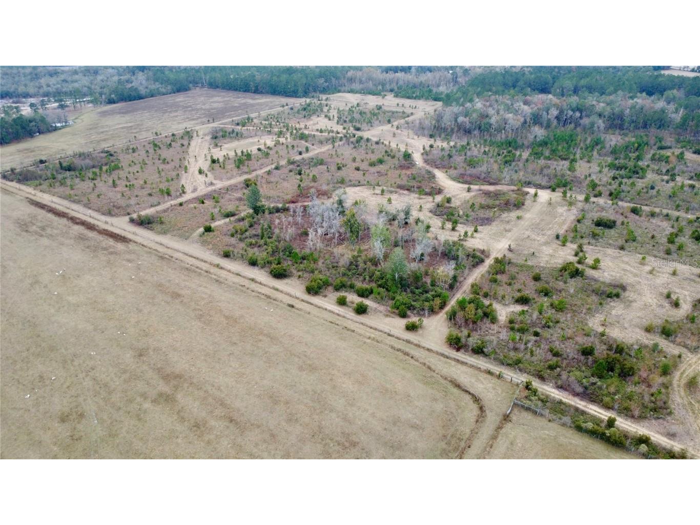 TBD Cr 235 Brooker FL 32622 GC535910 image5