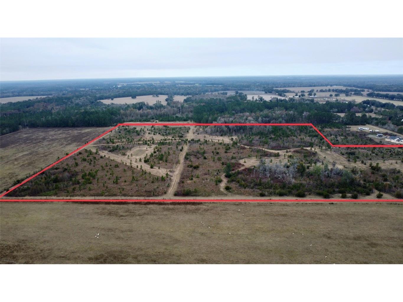TBD Cr 235 Brooker FL 32622 GC535910 image6