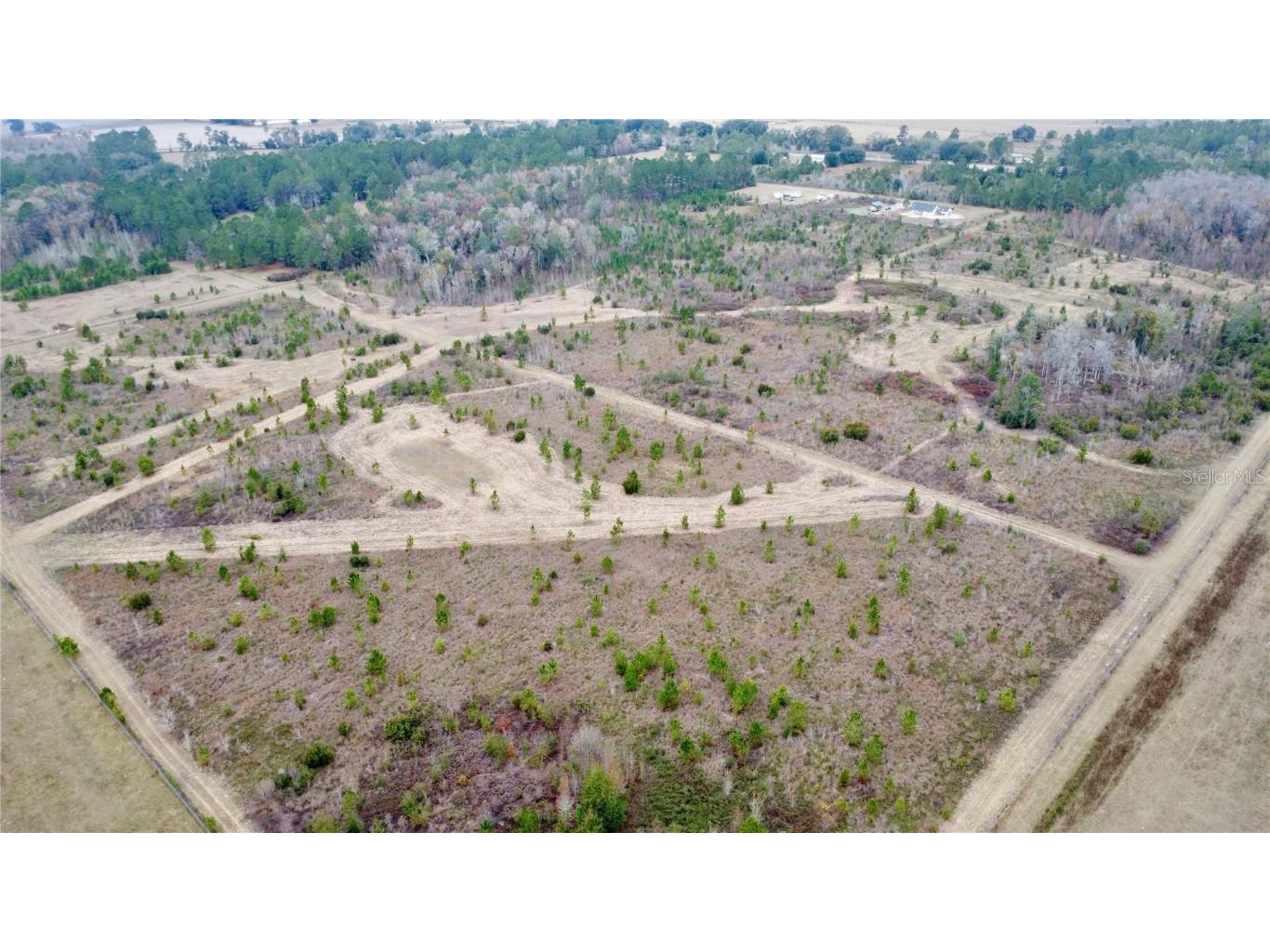 TBD Cr 235 Brooker FL 32622 GC535910 image7