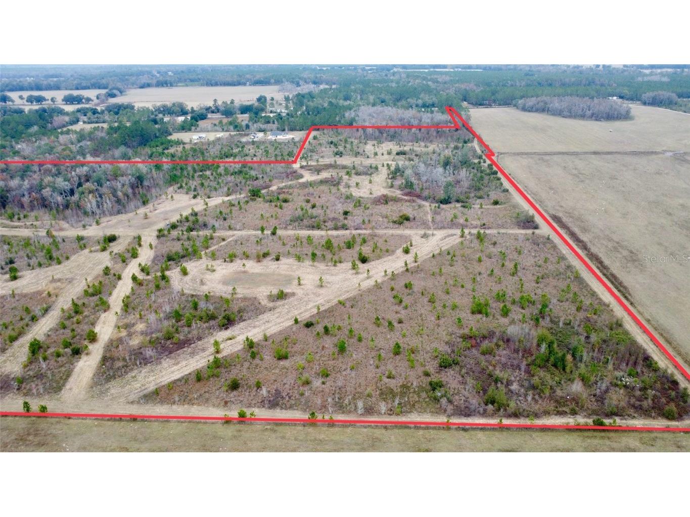 TBD Cr 235 Brooker FL 32622 GC535910 image8