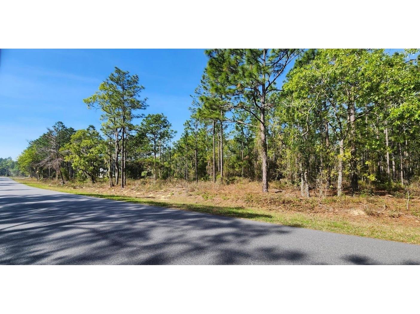 TBD Cr 243b Wildwood FL 34785 G5104358 image1