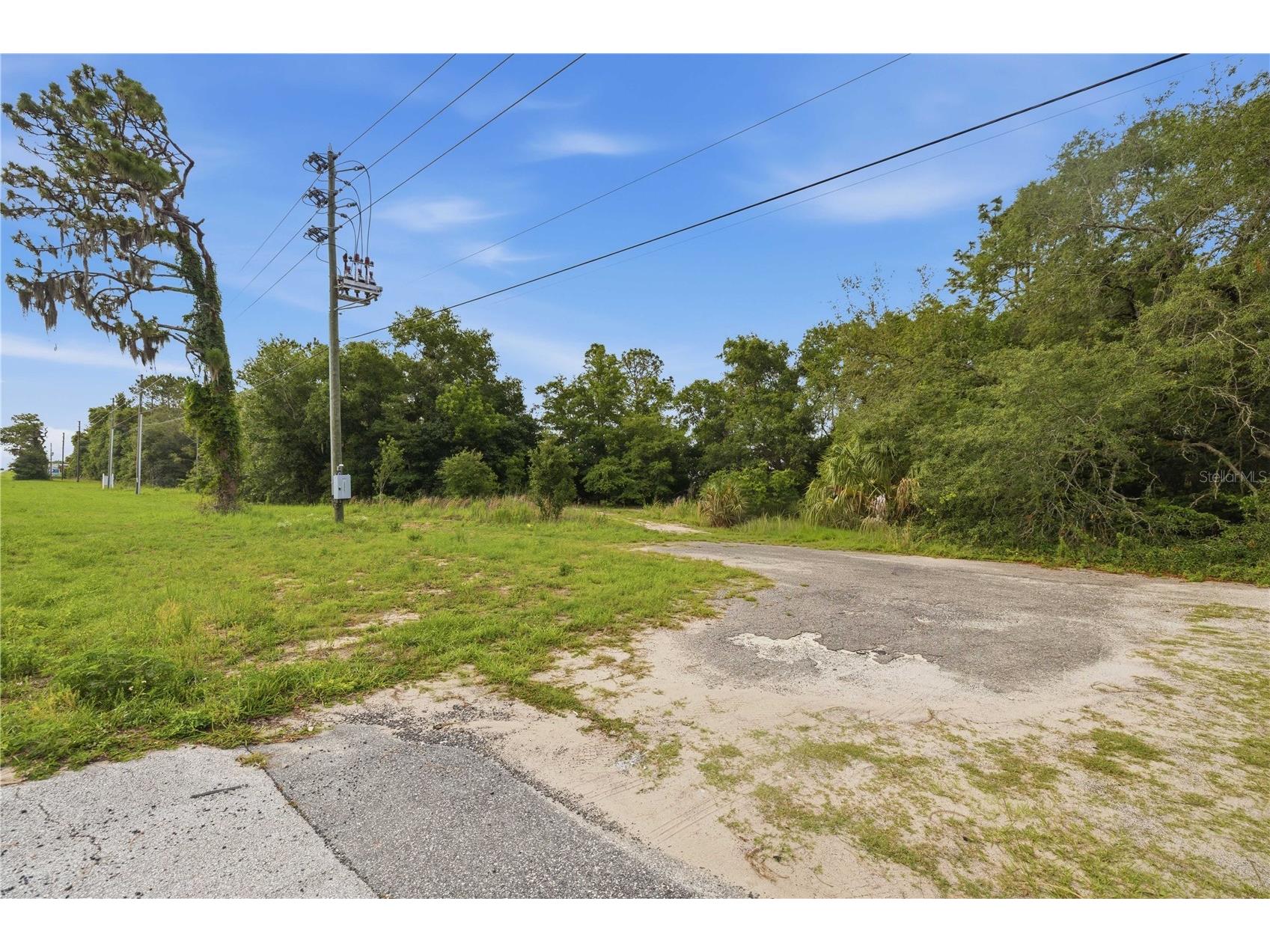 TBD Cr-25 Belleview FL 34420 OM725881 image4