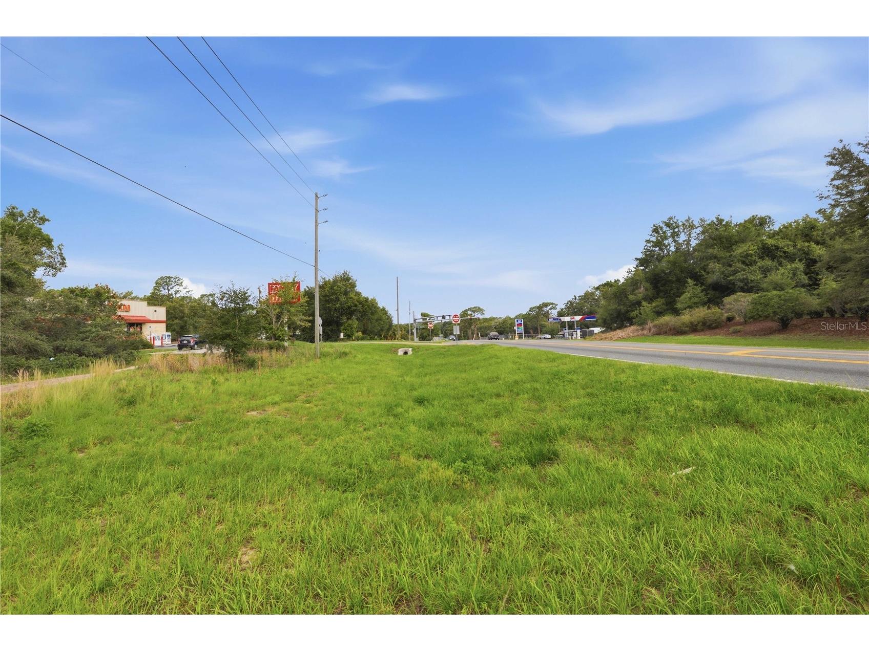 TBD Cr-25 Belleview FL 34420 OM725881 image9