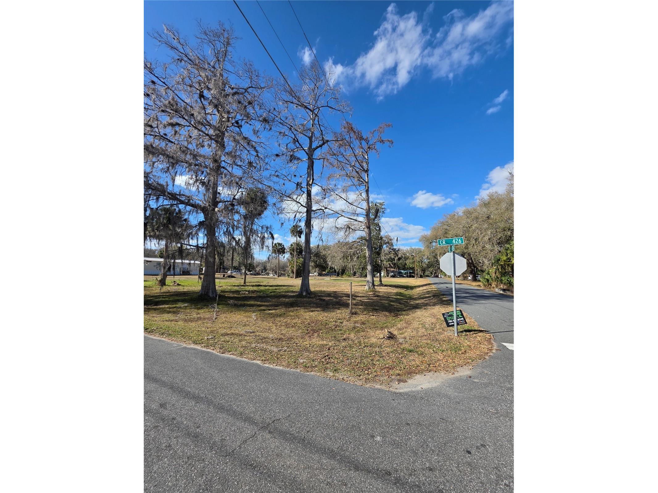 TBD Cr 426 Lake Panasoffkee FL 33538 OM719062 image1