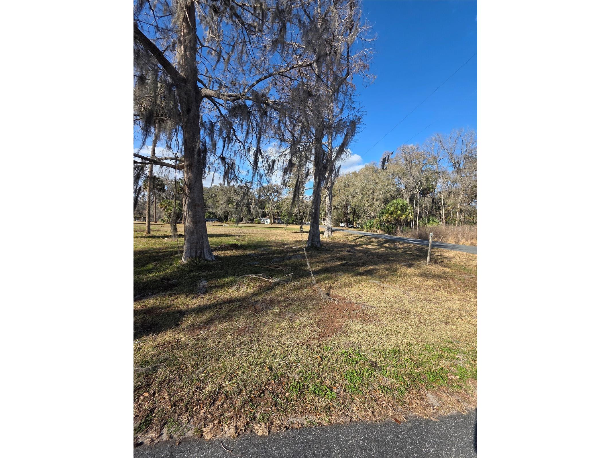 TBD Cr 426 Lake Panasoffkee FL 33538 OM719062 image3