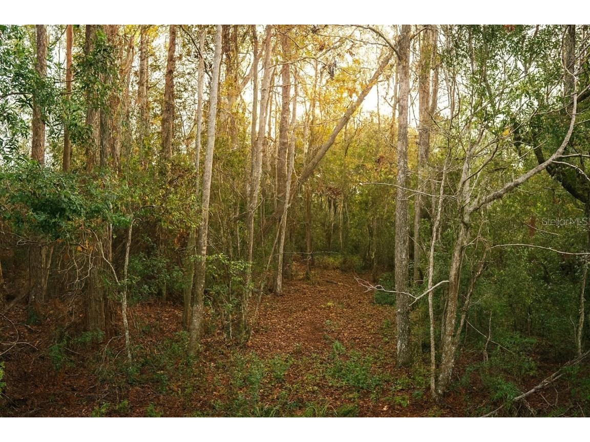 TBD Cr-48 Yalaha FL 34797 G5100060 image1