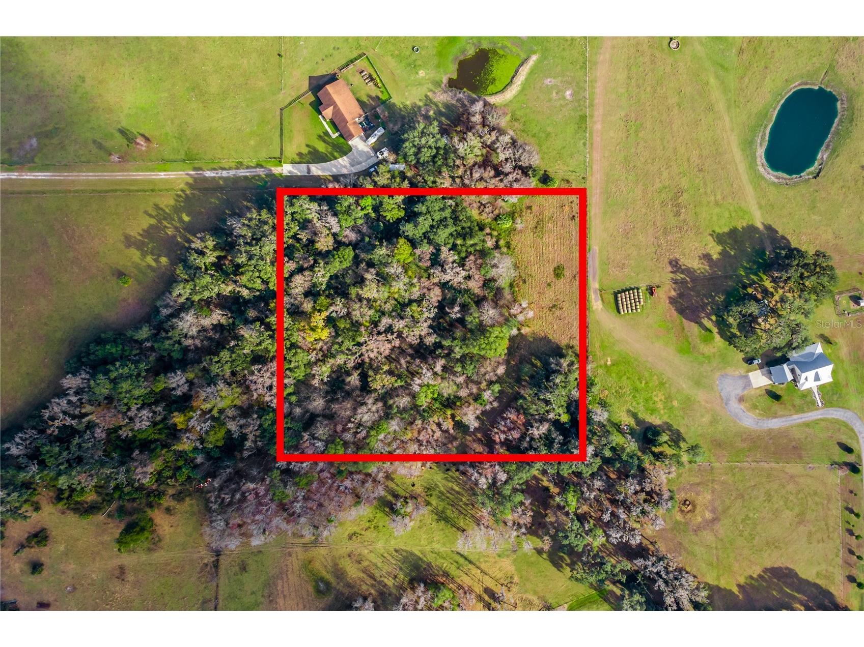 TBD Cr 526 Sumterville FL 33585 G5106427 image1