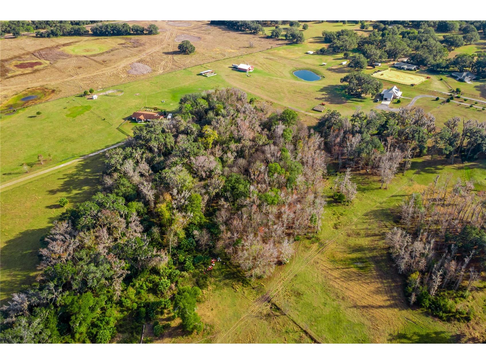 TBD Cr 526 Sumterville FL 33585 G5106427 image10