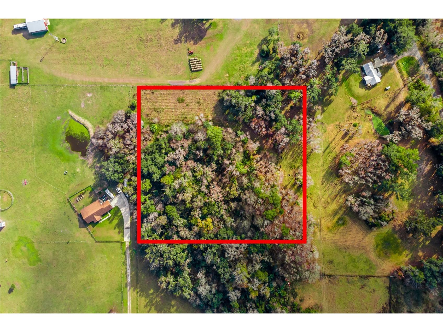 TBD Cr 526 Sumterville FL 33585 G5106427 image2