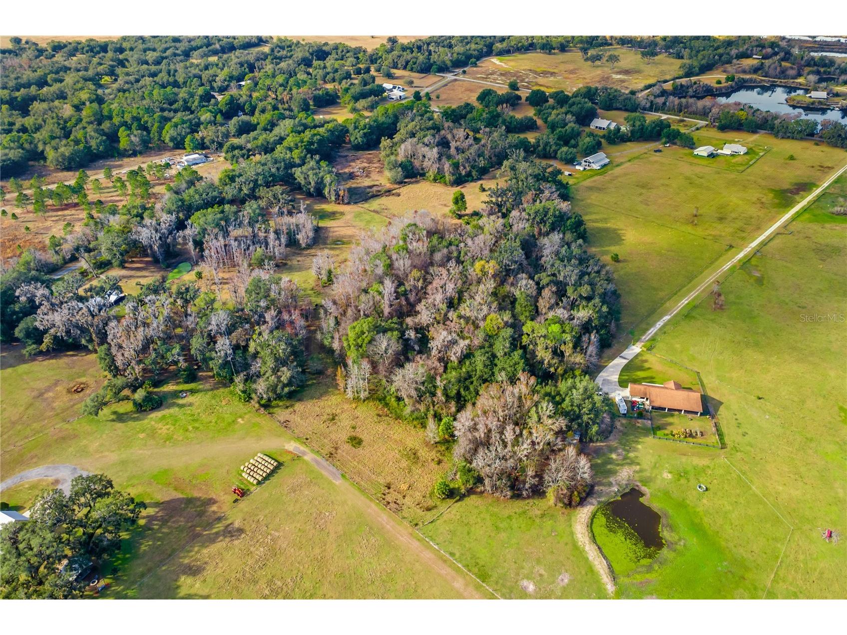 TBD Cr 526 Sumterville FL 33585 G5106427 image6