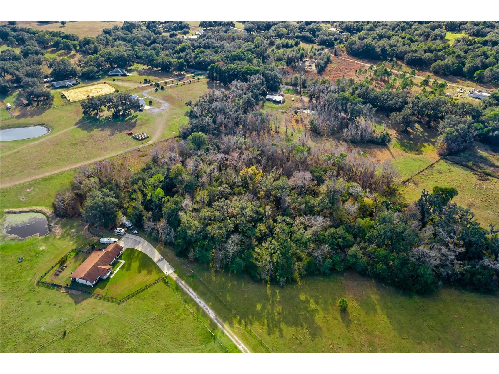 TBD Cr 526 Sumterville FL 33585 G5106427 image8