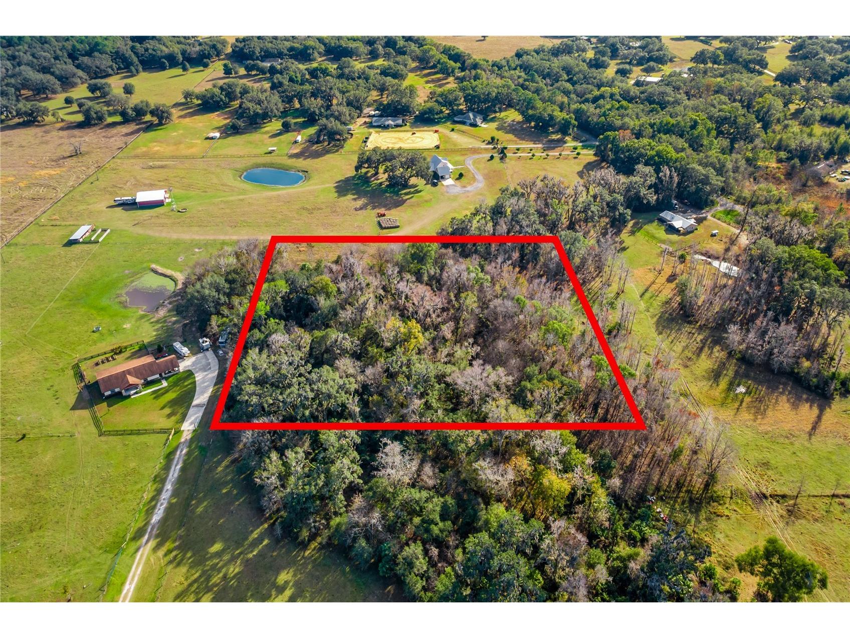 TBD Cr 526 Sumterville FL 33585 G5106427 image9
