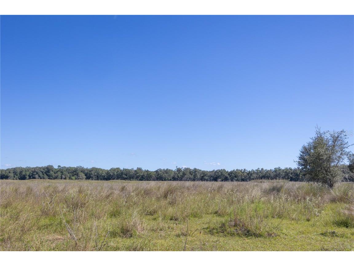 TBD Cr 673 Webster FL 33597 G5103879 image10