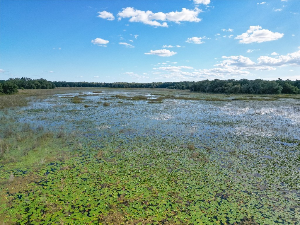 TBD Cr 673 Webster FL 33597 G5103879 image11