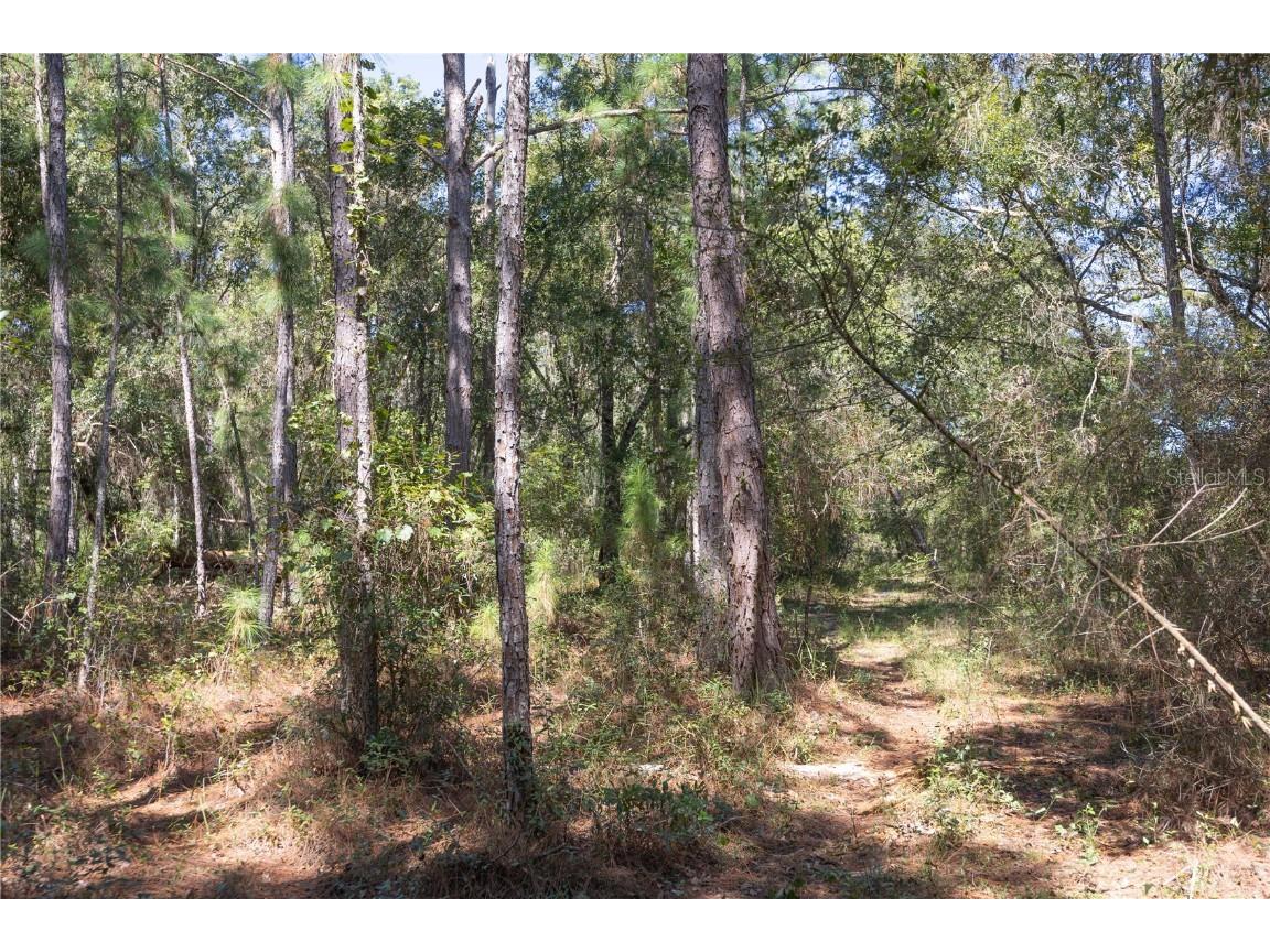 TBD Cr 673 Webster FL 33597 G5103879 image12