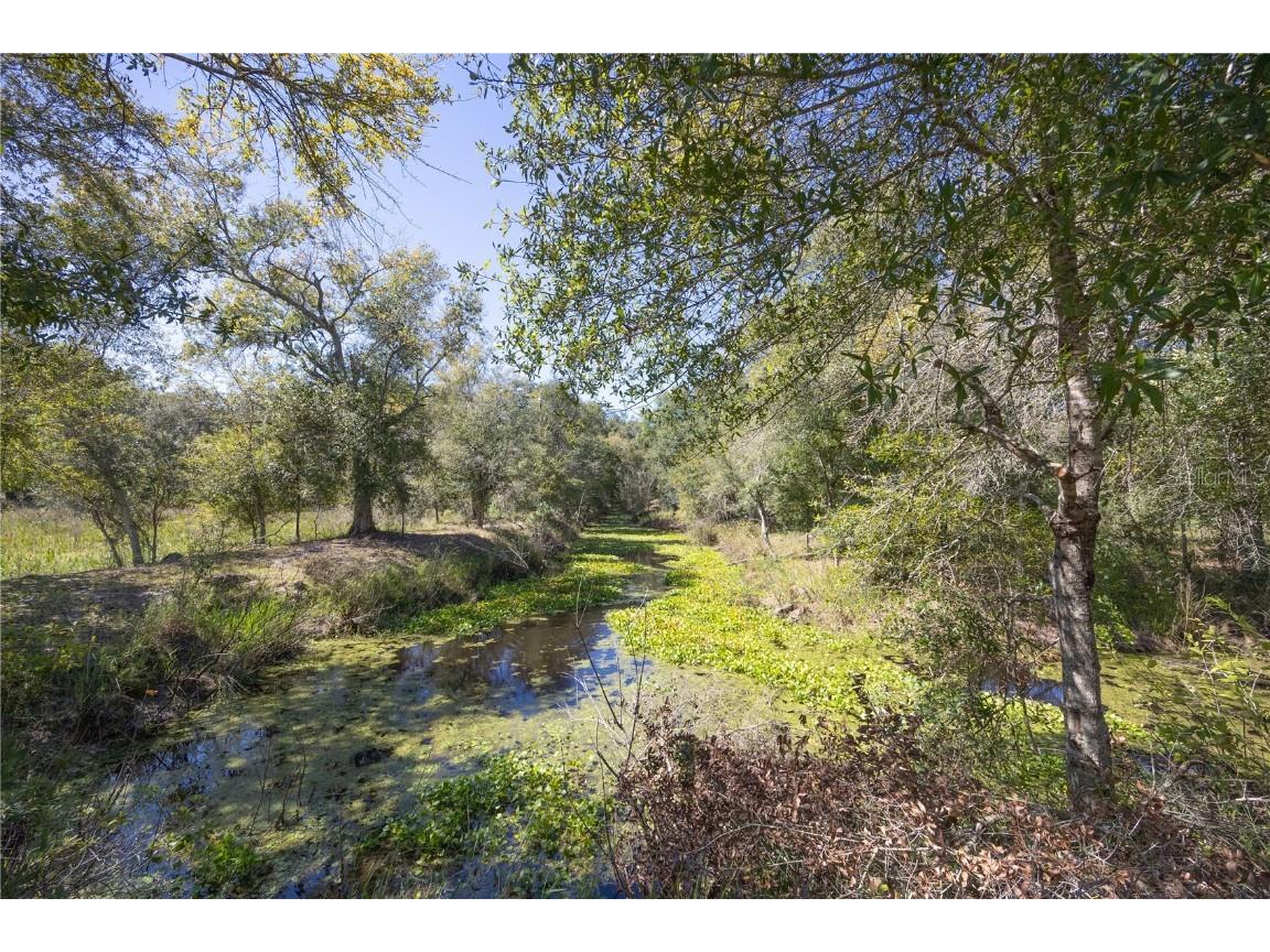 TBD Cr 673 Webster FL 33597 G5103879 image16