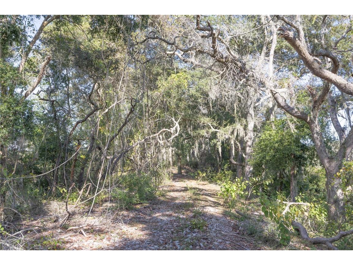 TBD Cr 673 Webster FL 33597 G5103879 image17