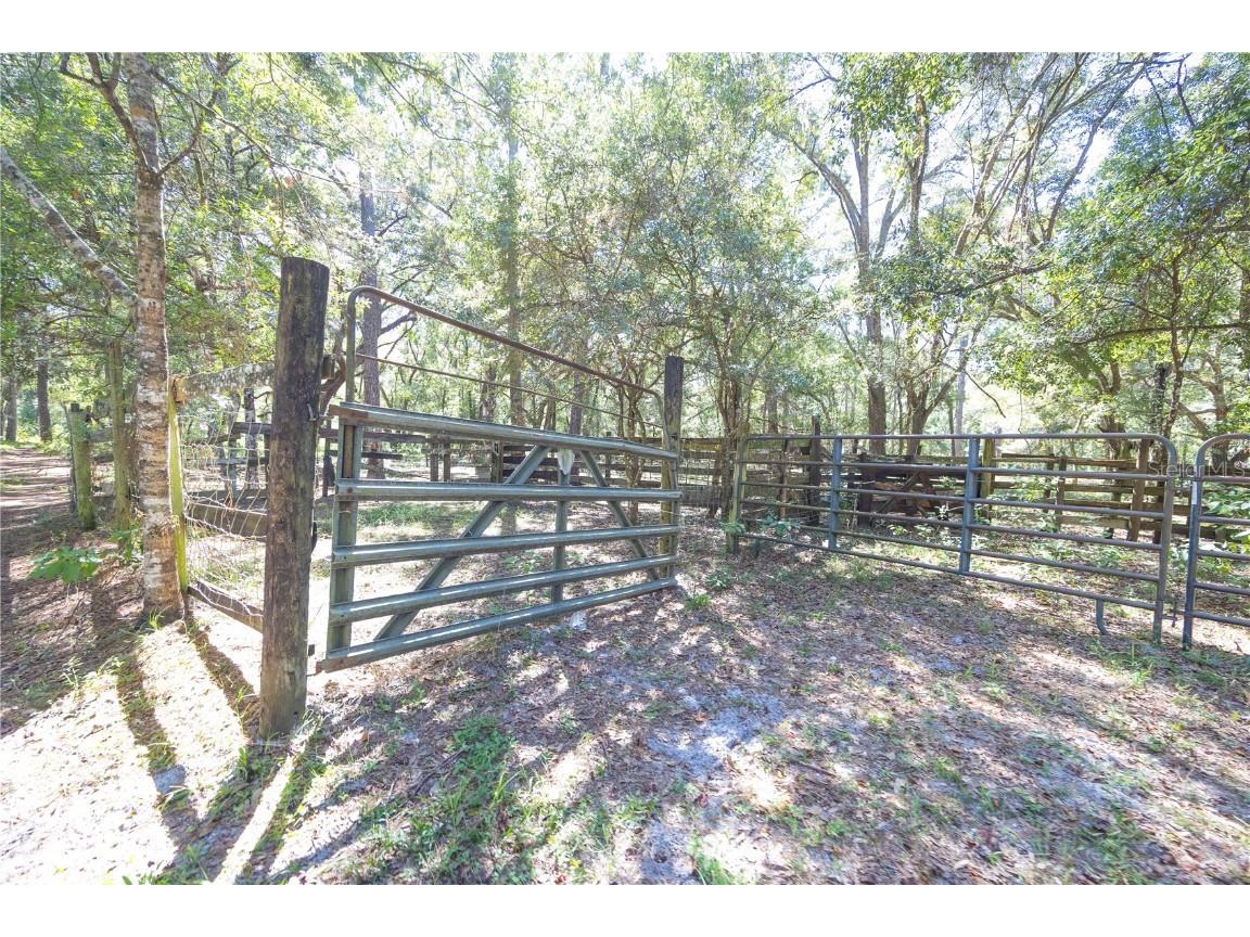 TBD Cr 673 Webster FL 33597 G5103879 image18