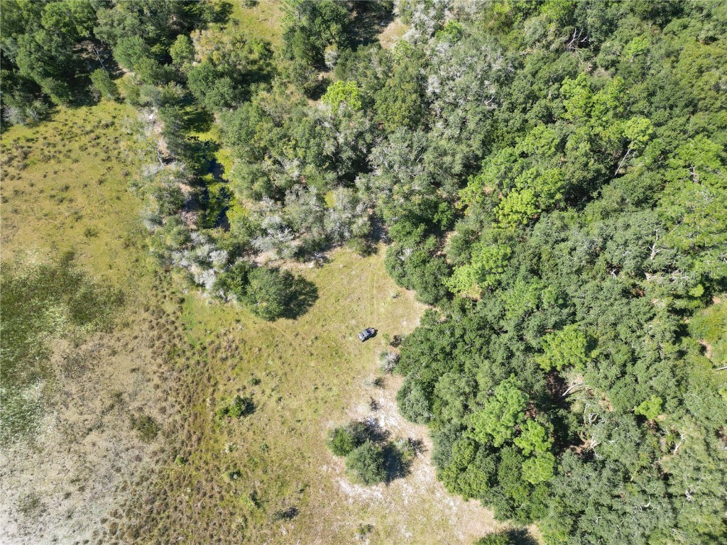 TBD Cr 673 Webster FL 33597 G5103879 image19