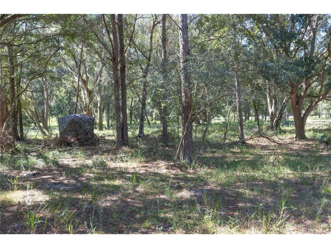 TBD Cr 673 Webster FL 33597 G5103879 image20