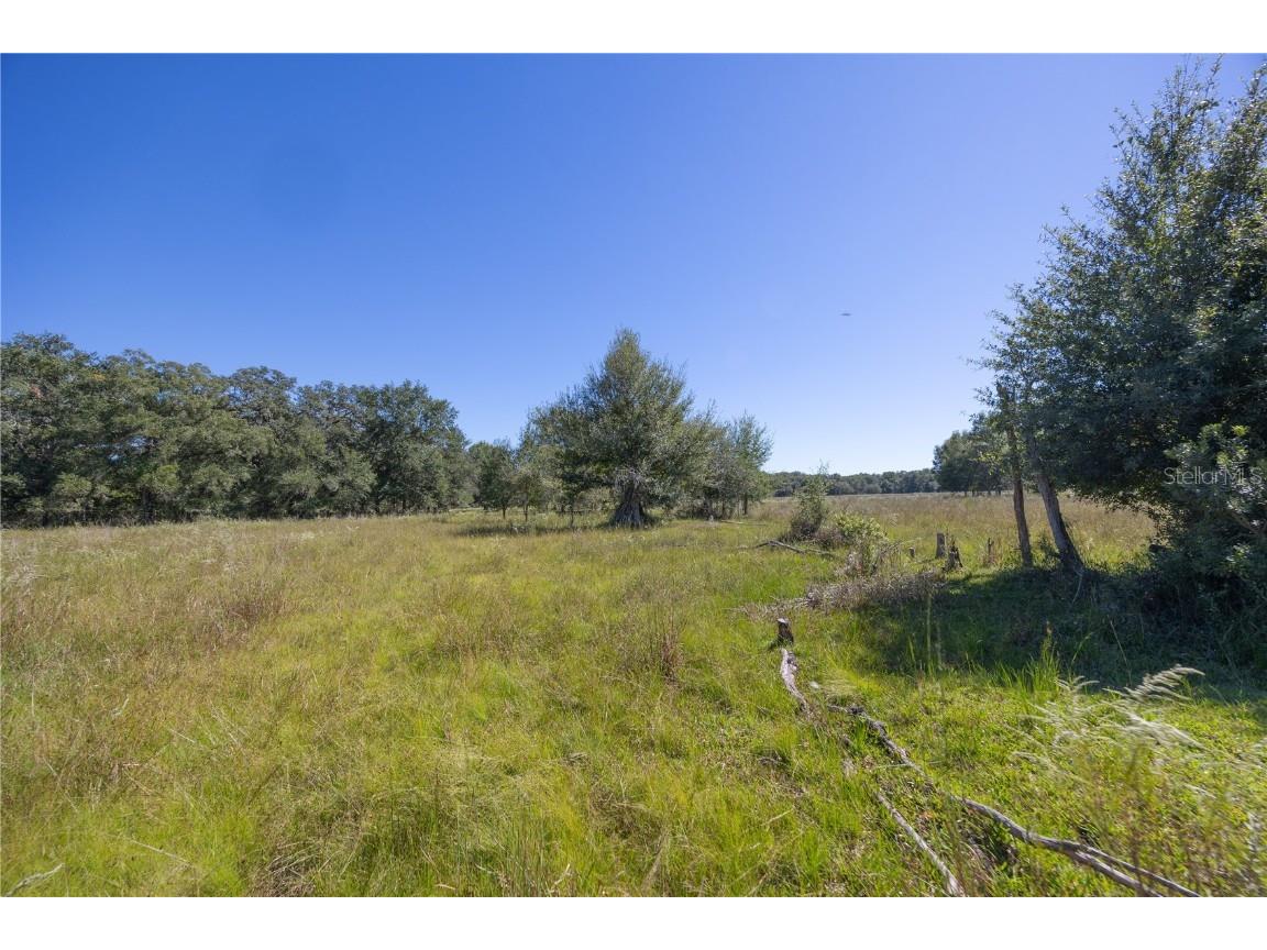 TBD Cr 673 Webster FL 33597 G5103879 image22