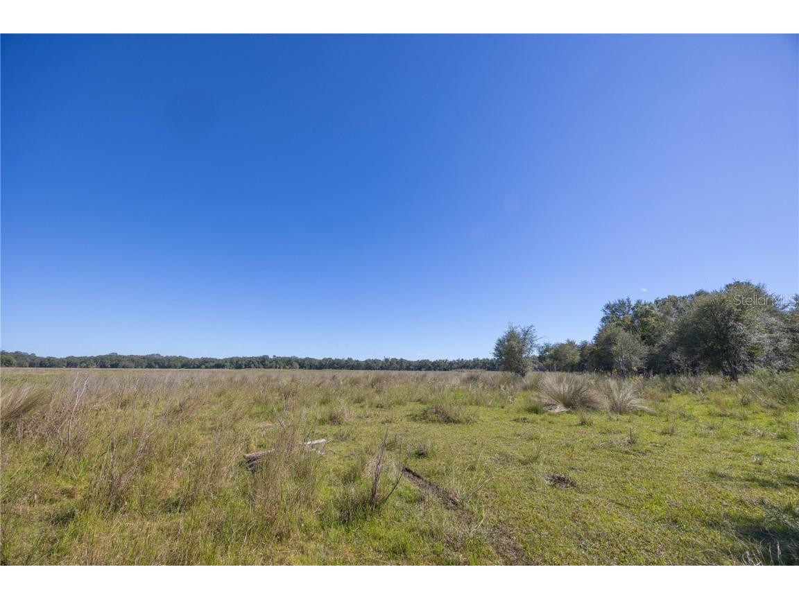 TBD Cr 673 Webster FL 33597 G5103879 image23