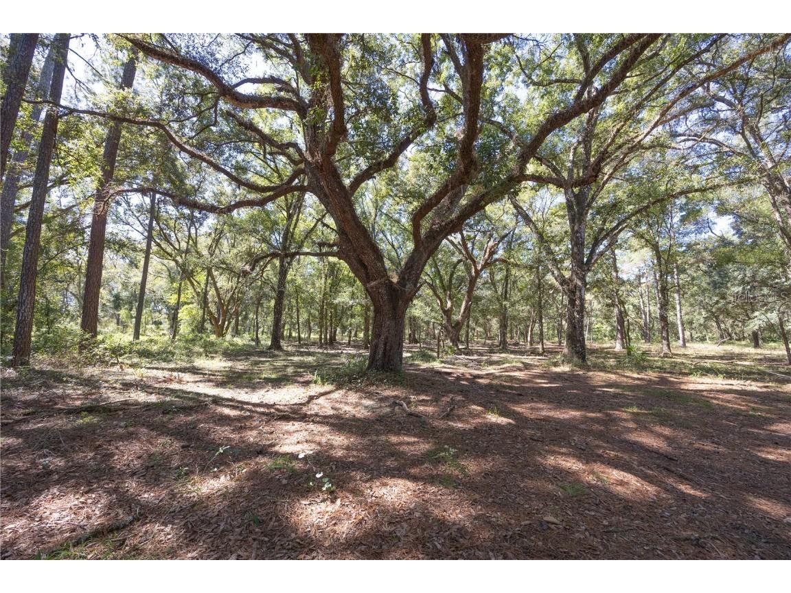 TBD Cr 673 Webster FL 33597 G5103879 image27