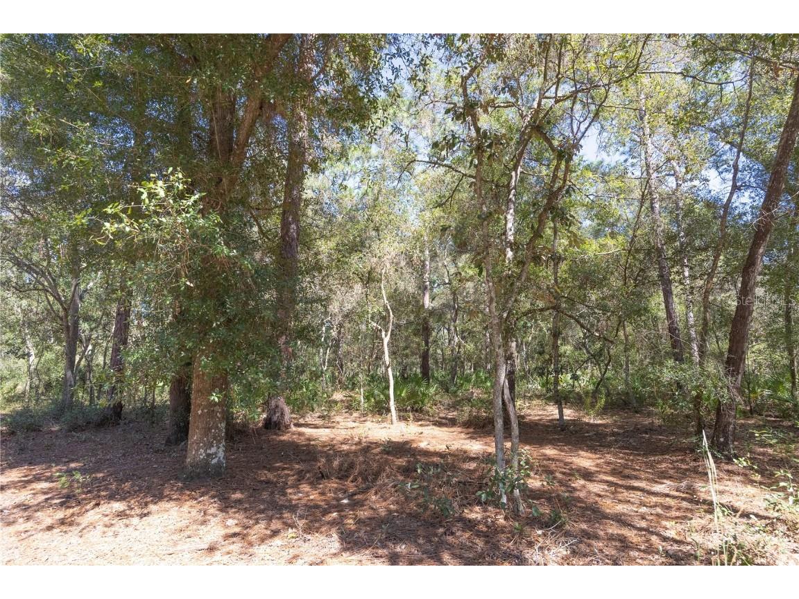 TBD Cr 673 Webster FL 33597 G5103879 image29