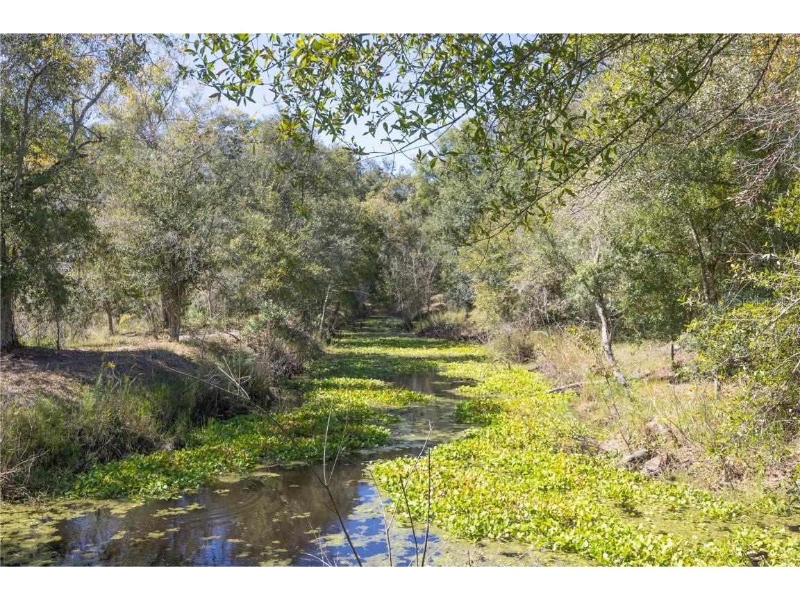 TBD Cr 673 Webster FL 33597 G5103879 image30