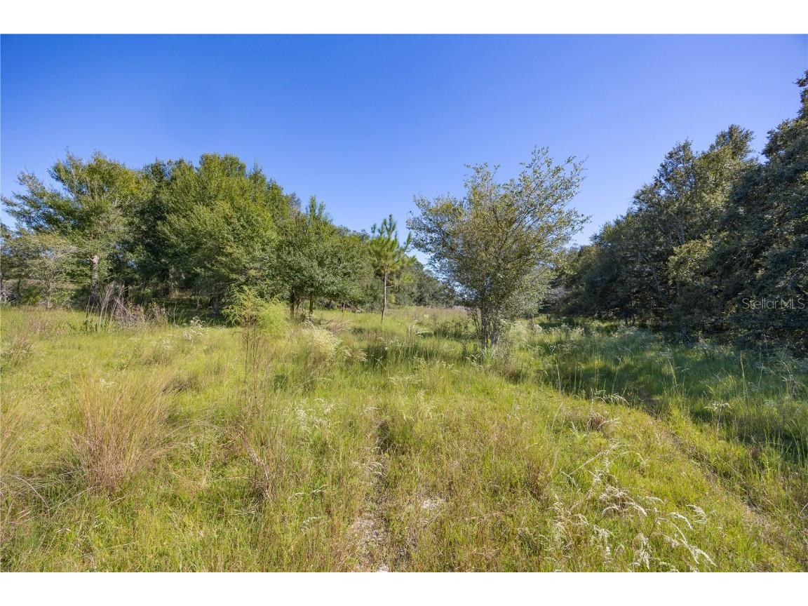 TBD Cr 673 Webster FL 33597 G5103879 image31