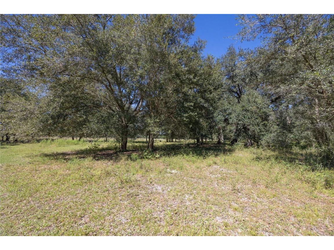 TBD Cr 673 Webster FL 33597 G5103879 image37