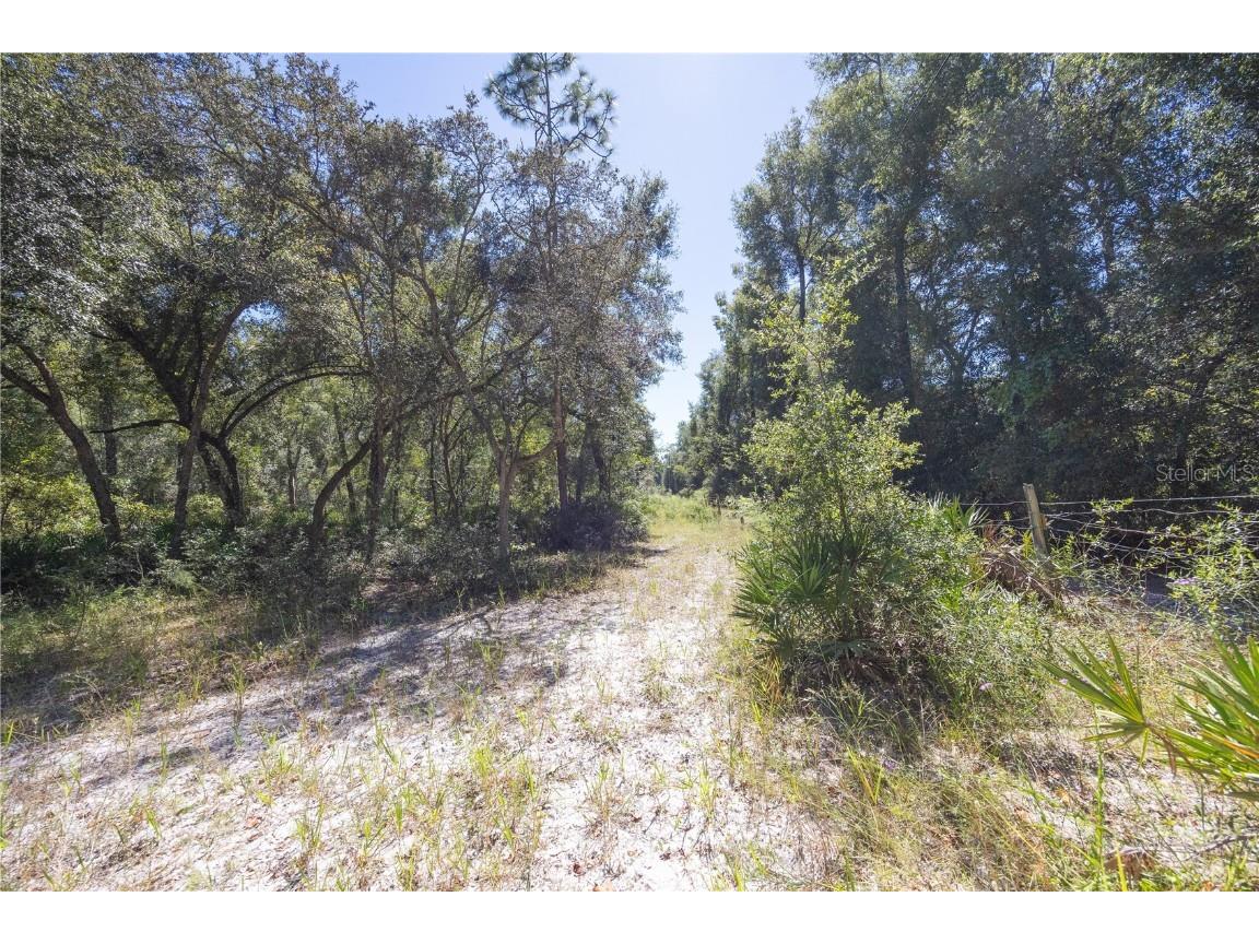 TBD Cr 673 Webster FL 33597 G5103879 image38