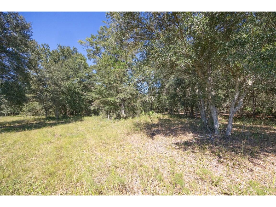 TBD Cr 673 Webster FL 33597 G5103879 image39