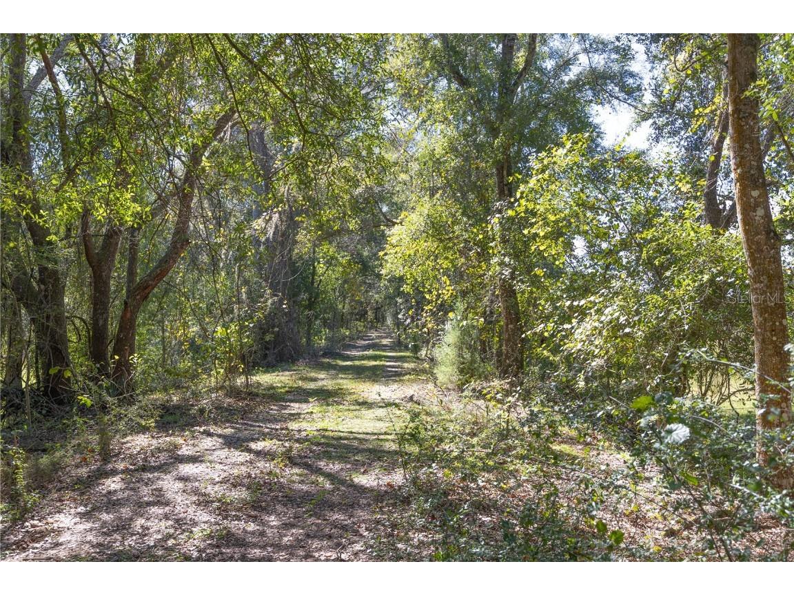 TBD Cr 673 Webster FL 33597 G5103879 image40