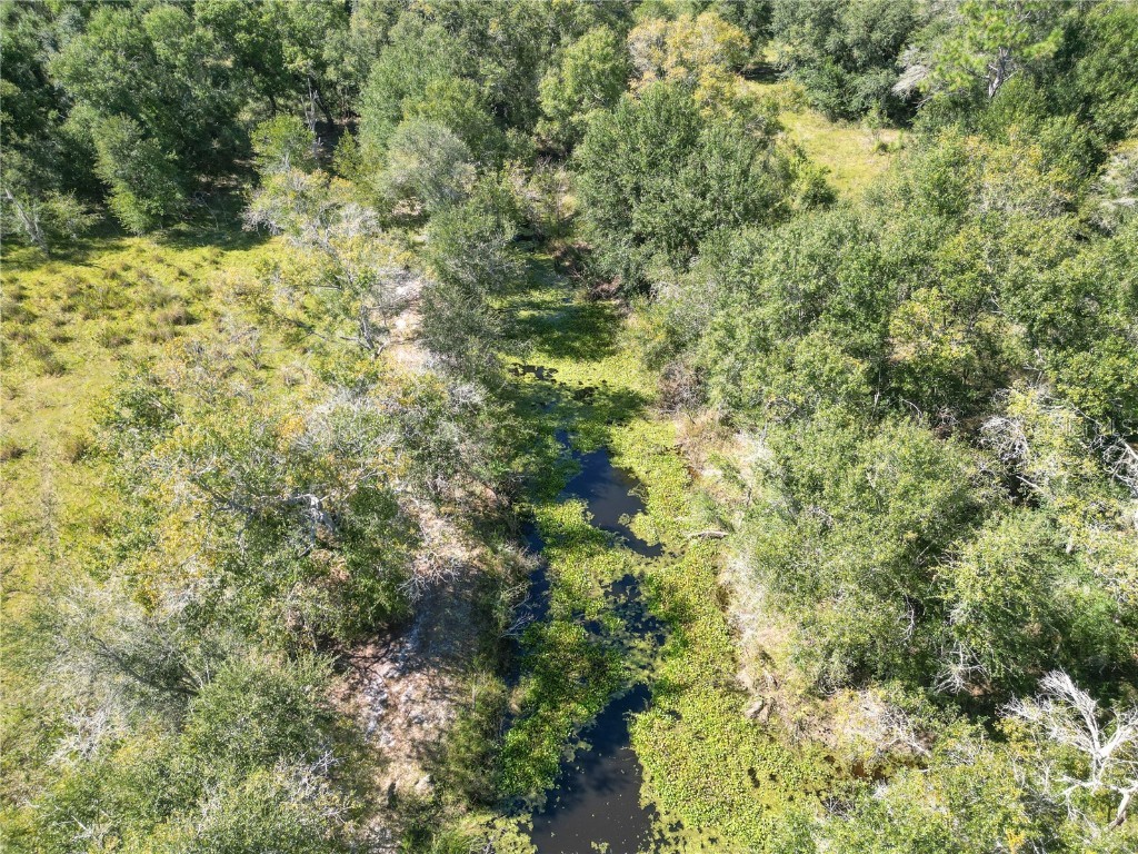 TBD Cr 673 Webster FL 33597 G5103879 image44