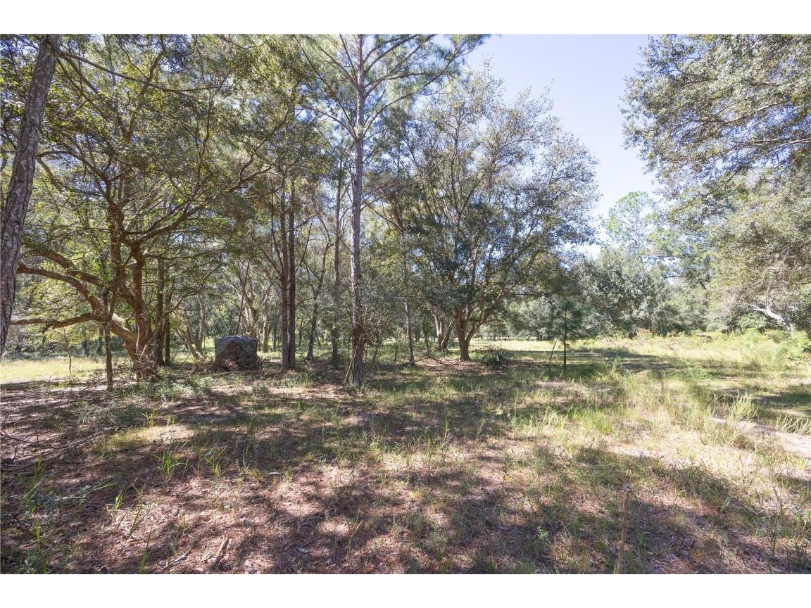 TBD Cr 673 Webster FL 33597 G5103879 image45