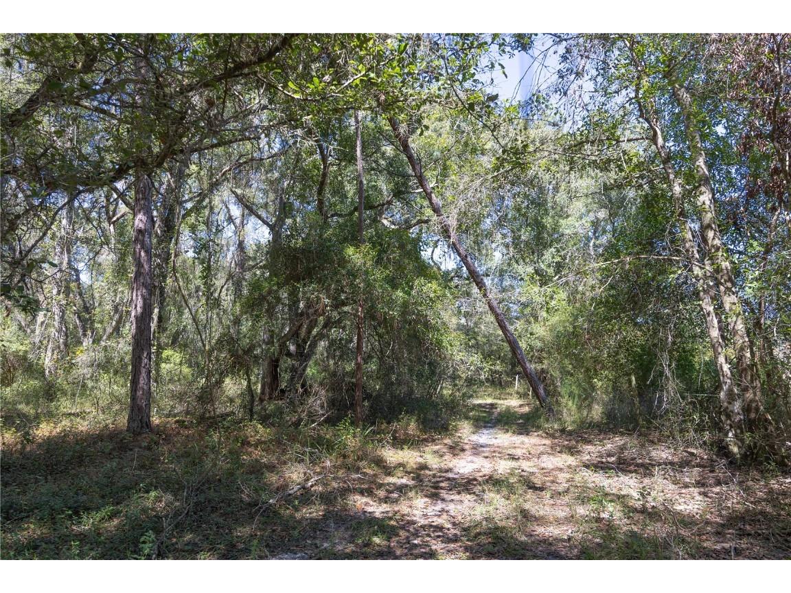 TBD Cr 673 Webster FL 33597 G5103879 image46