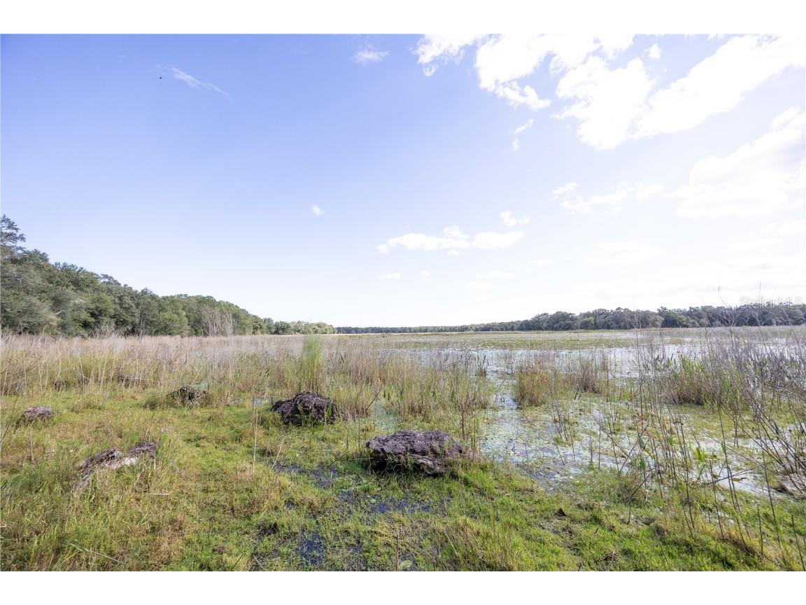 TBD Cr 673 Webster FL 33597 G5103879 image48