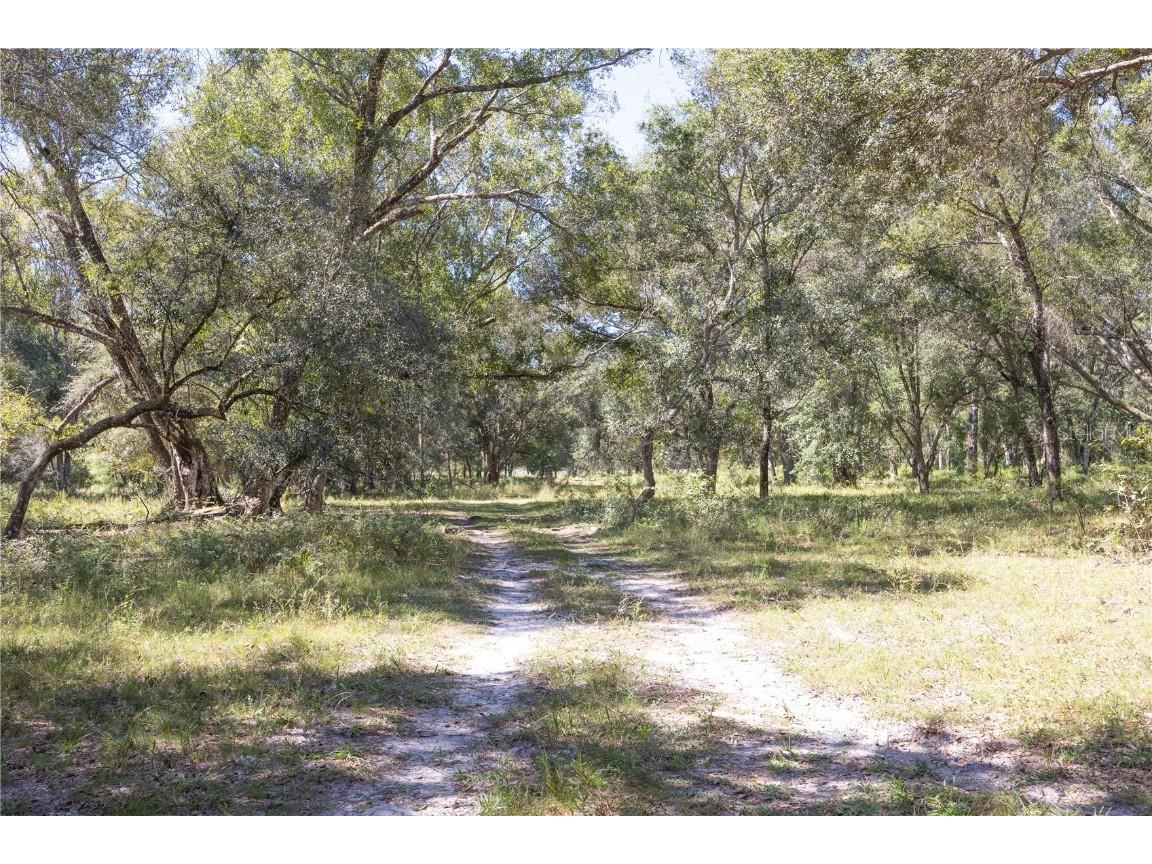 TBD Cr 673 Webster FL 33597 G5103879 image51