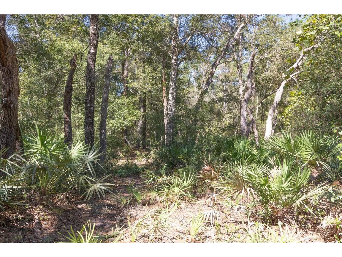 TBD Cr 673 Webster FL 33597 G5103879 image52