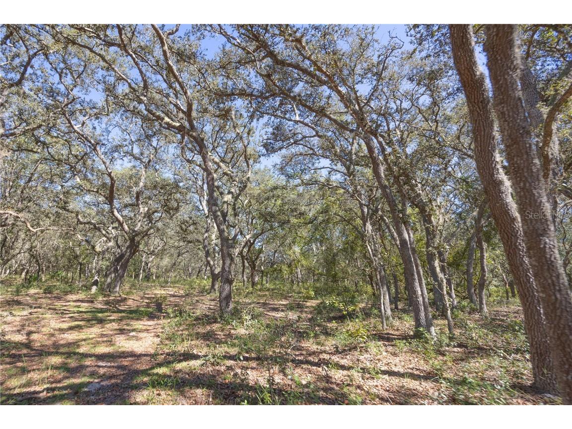 TBD Cr 673 Webster FL 33597 G5103879 image53