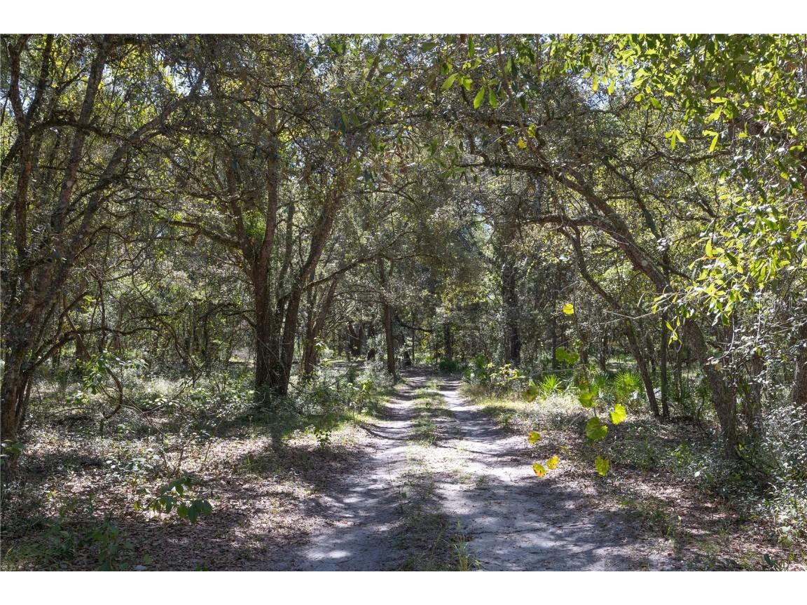 TBD Cr 673 Webster FL 33597 G5103879 image55
